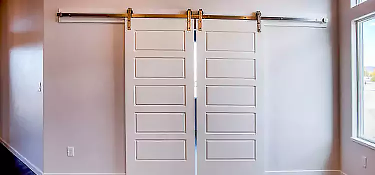 Glass Barn Door with Installation Hardware Kit Pleasantville